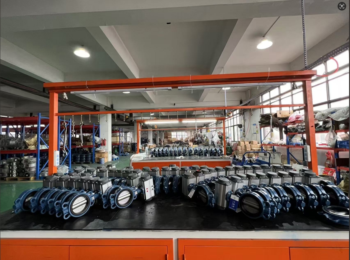 Виробнича майстерня Zhongguan Valves стала свідком енергійного будівельного буму